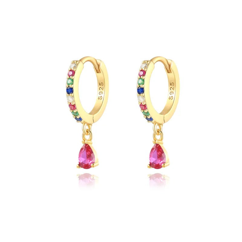 Zeal Multicolor Hoops Earrings